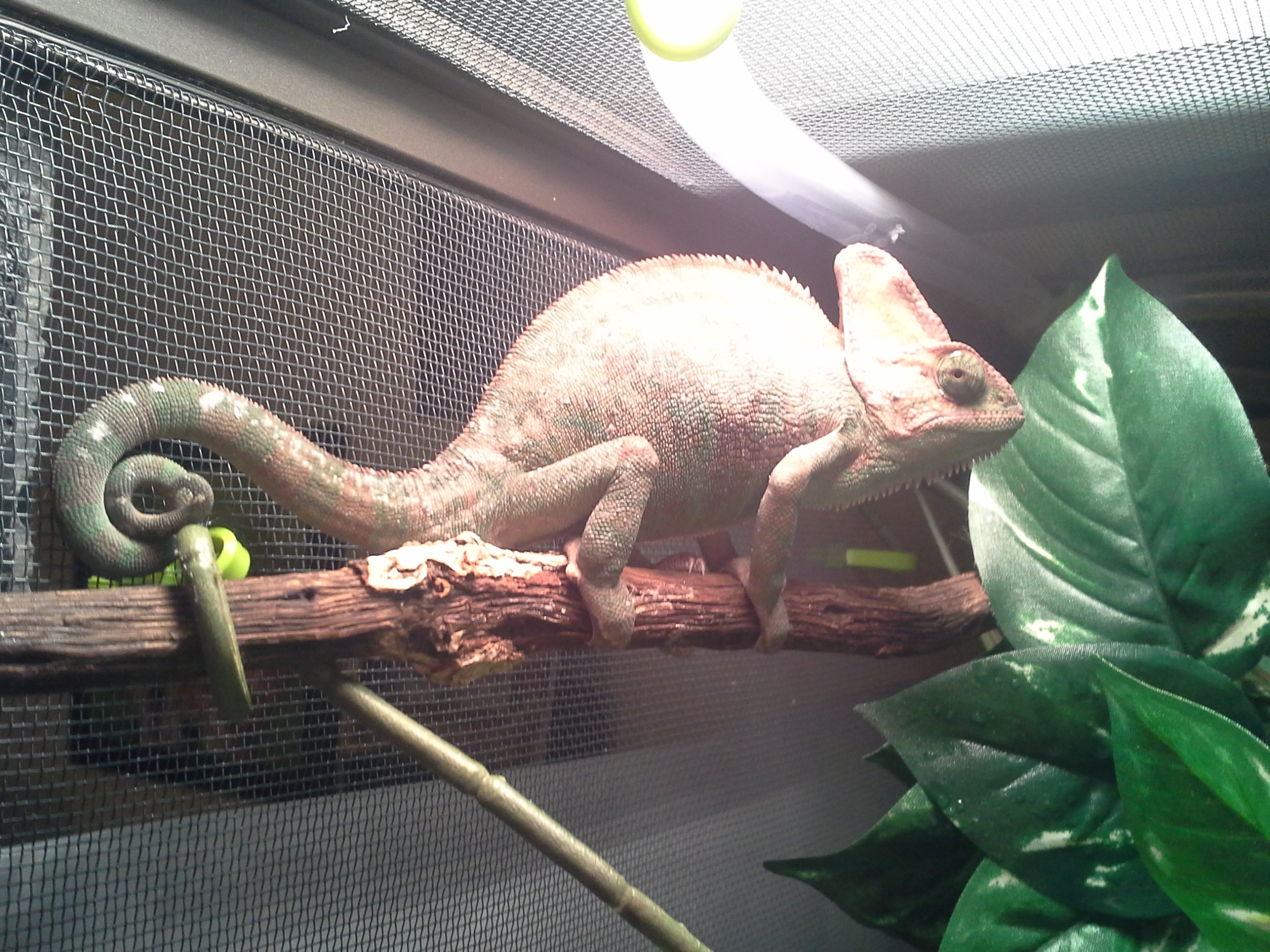 Jake 5/7/13