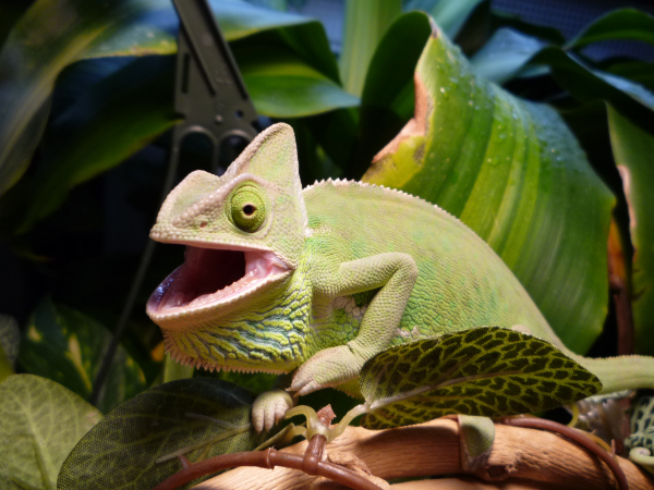 Jasmine being her usual pleasant self.