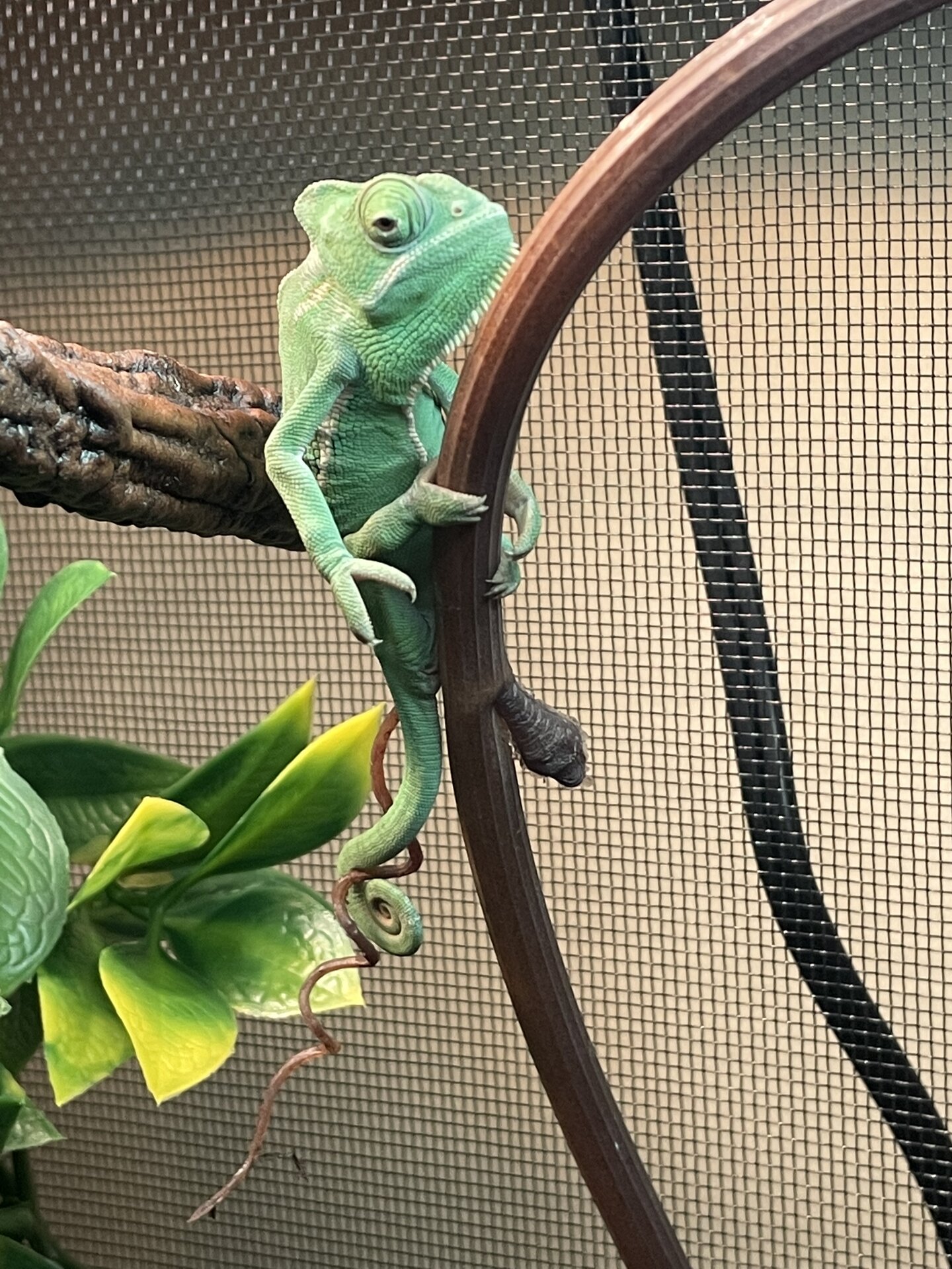 Jerry just chillin’