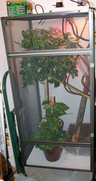 Joyce's new cage 6 20 08