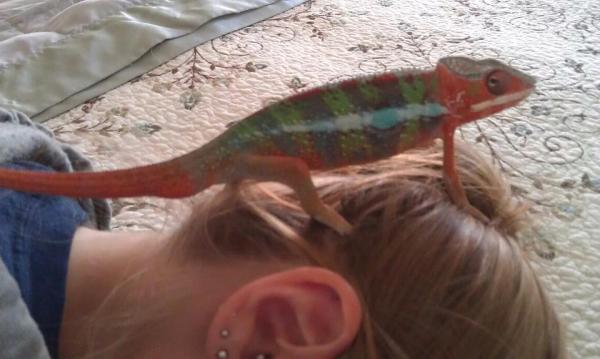 just being curious!