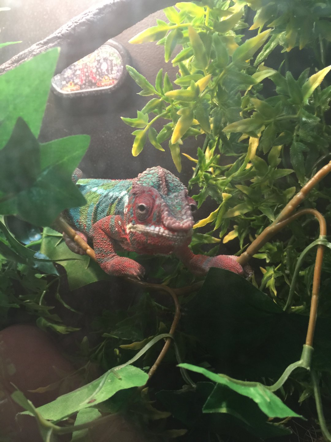 Just chillin