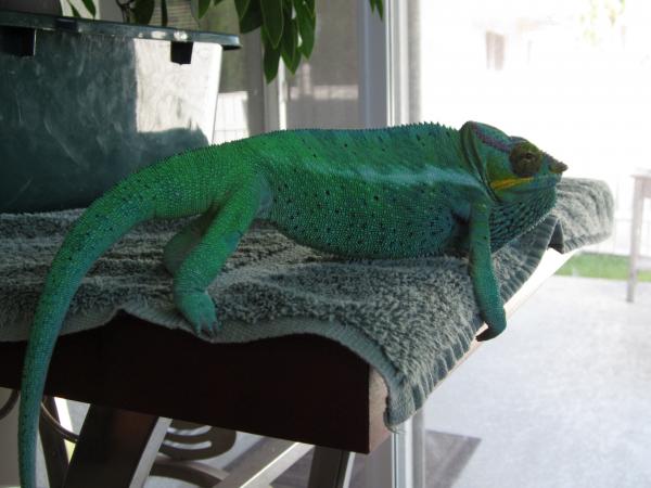 just chill'n