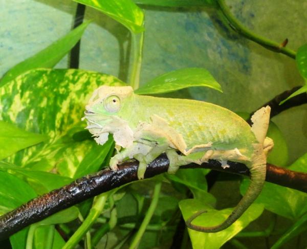 Just finished yelling at me for taking the picture