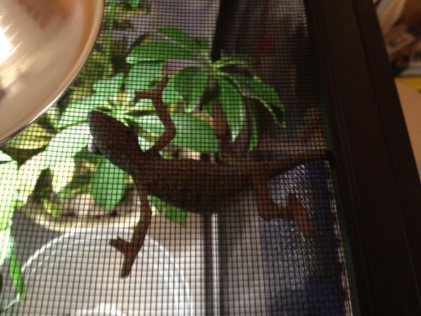 Just hangin.