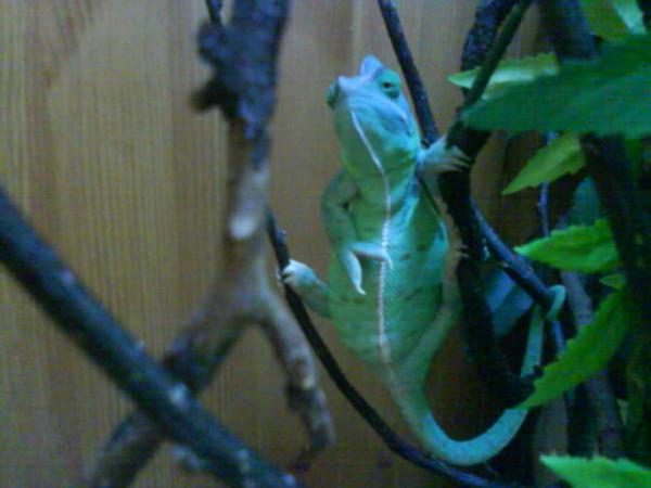 Just hanging around 6,7,09