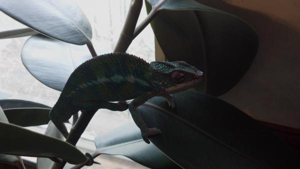 Just hanging out