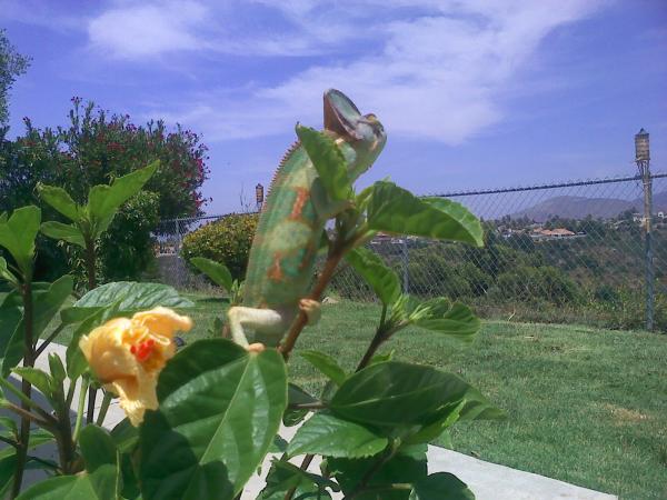 just looken at the view