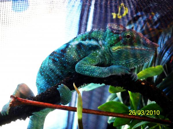 just loungin'