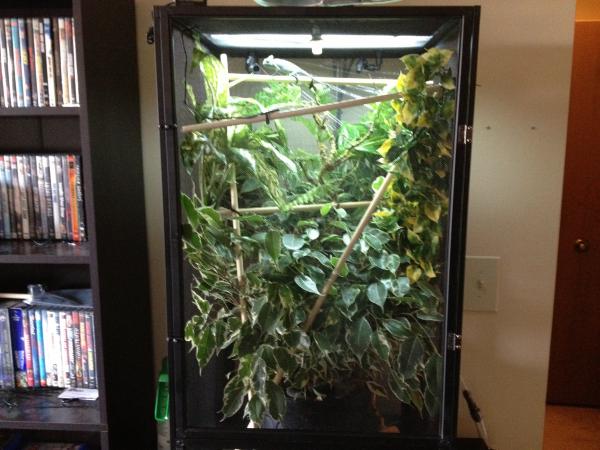 just remodled the cage