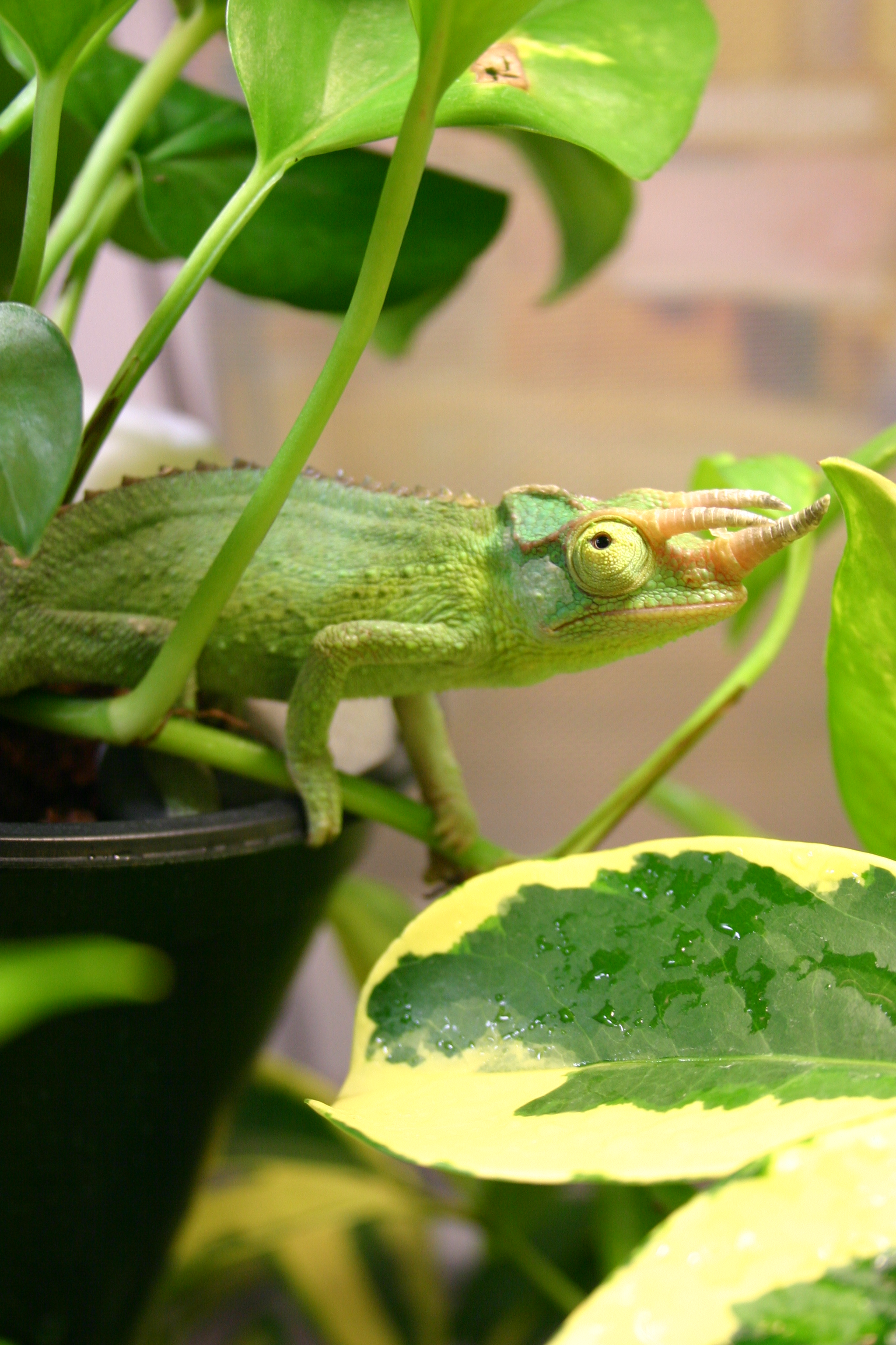 Just Sitting... Waiting...