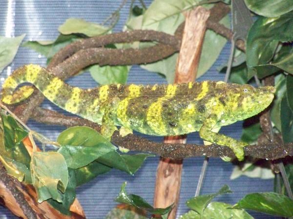 Just took a bath under the mister