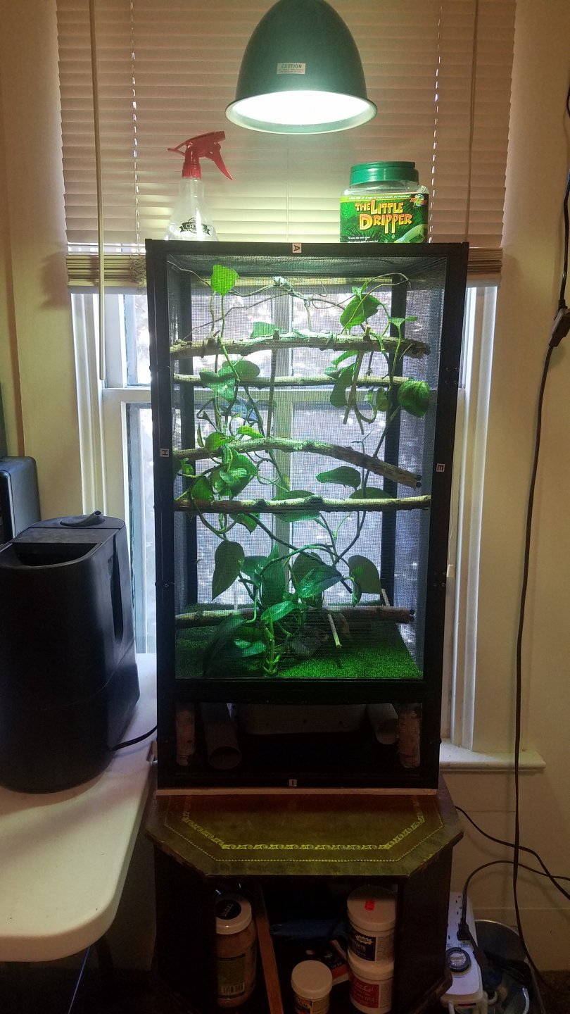 Juvenile cage setup.