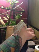Kai climbing on my wife after his unboxing
