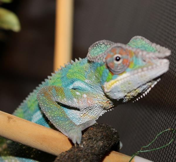 kanto 007 ok,enough pics. i'm outta here!