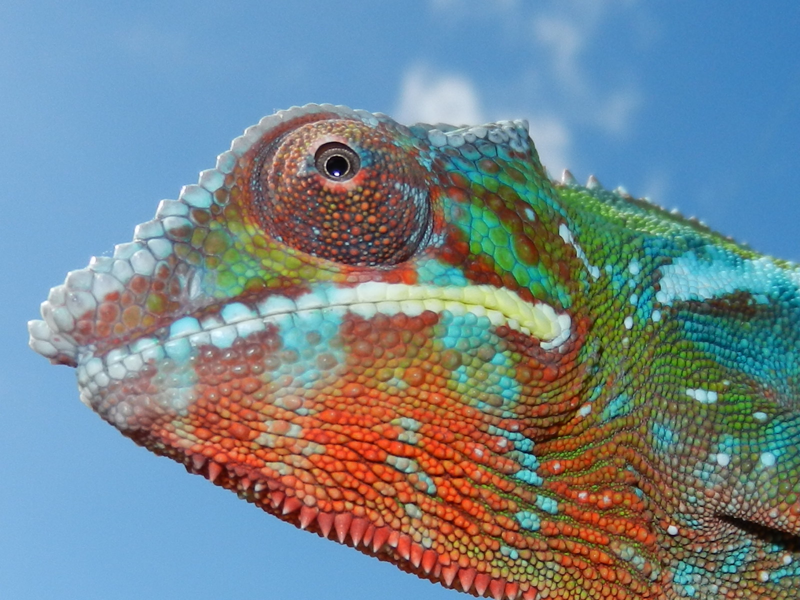 Keeping An Eye On The Sky