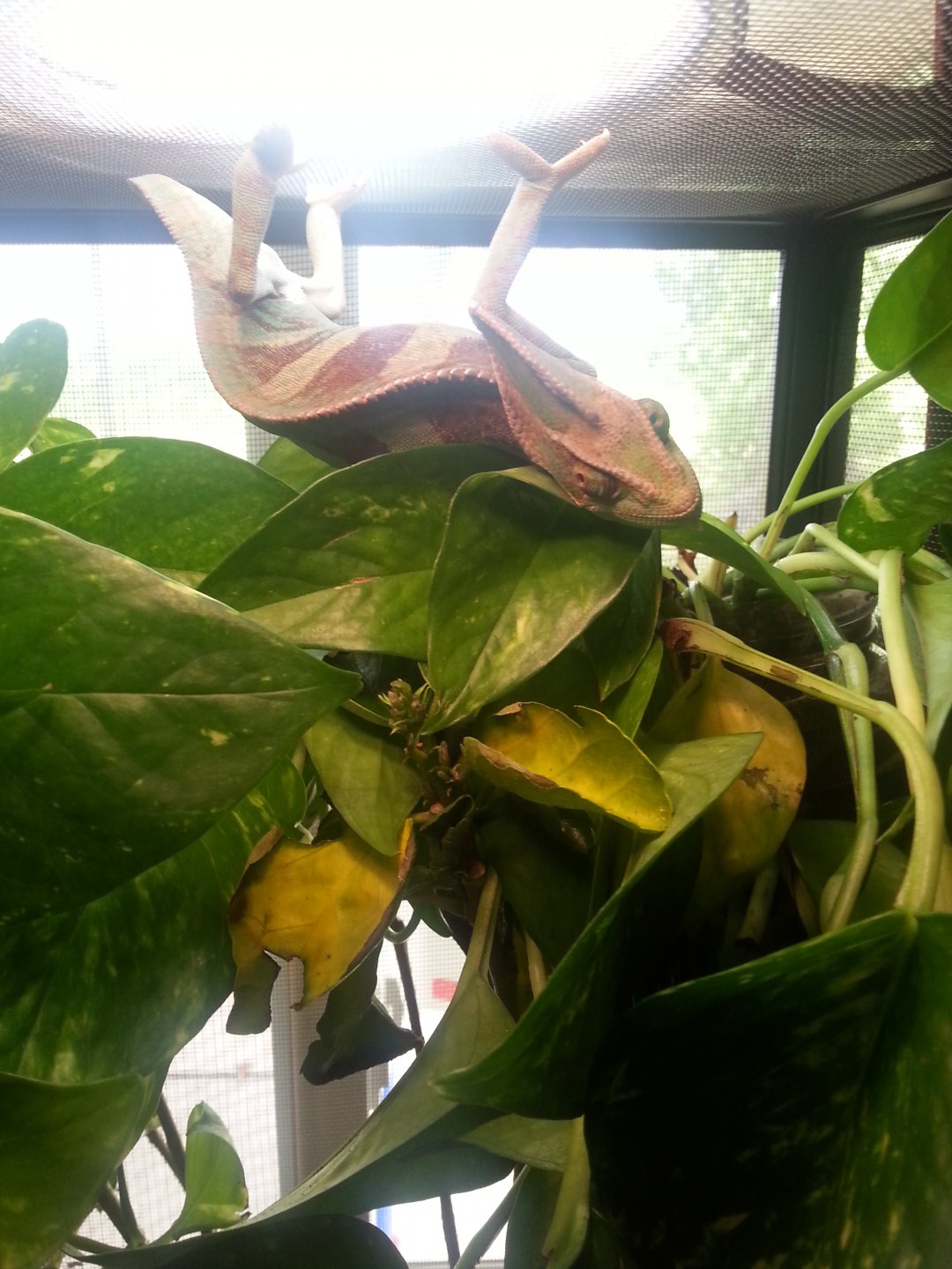 keeping both eyes out