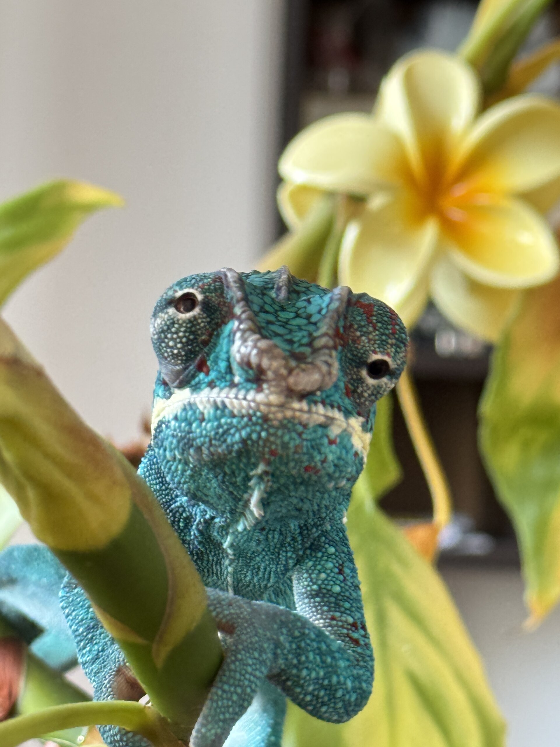 Keeping eyes on… everywhere