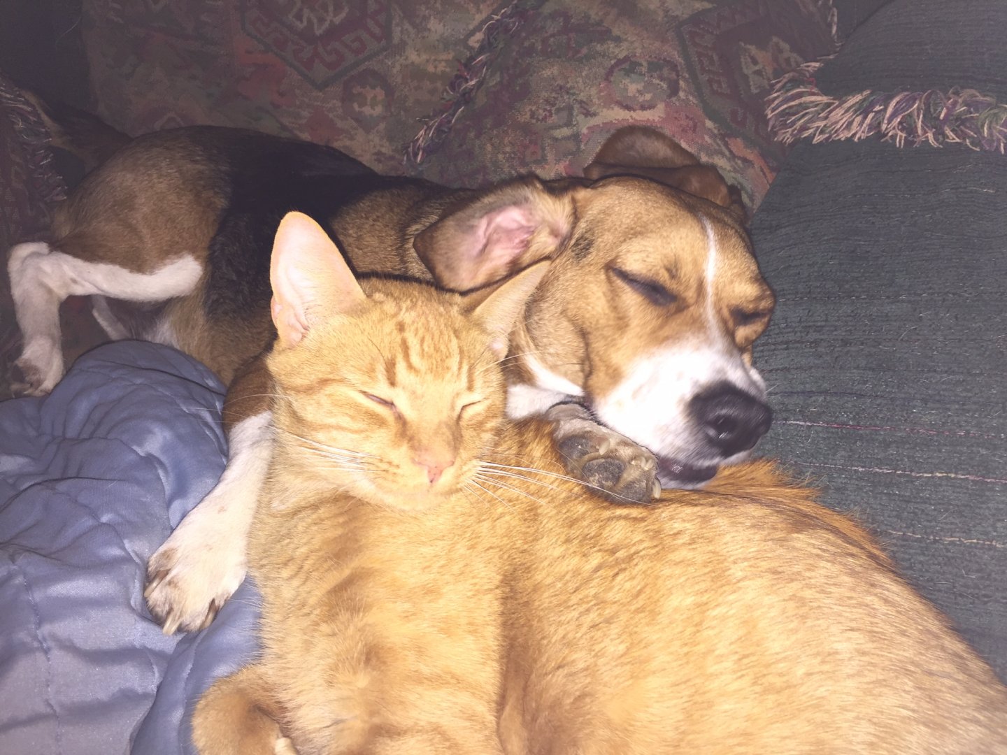 Kiki and mikey
