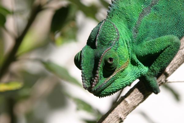 krunch 29aug2011 013