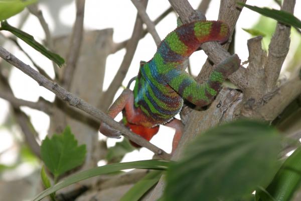 krunch 29aug2011 025