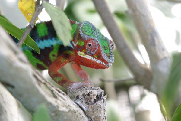 krunch 29aug2011 035