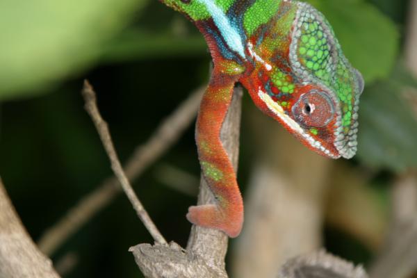 krunch 29aug2011 044