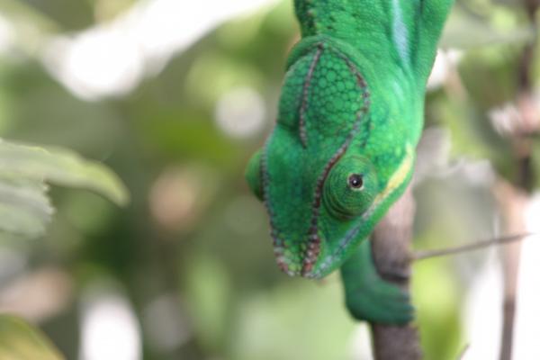 KrunchKruiser 18Sept2011 075