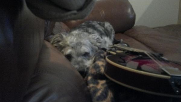 Lacey and my mandolin :)