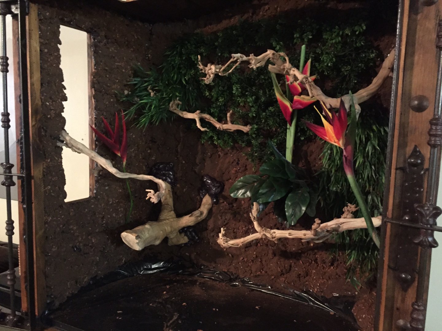 large perch foamed in