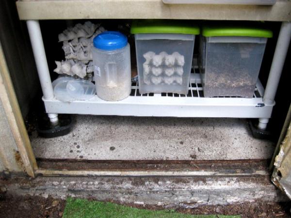 Legs sit in these metal pans to keep out the ants.