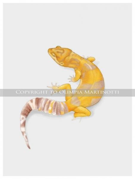 Leopard gecko digital drawing