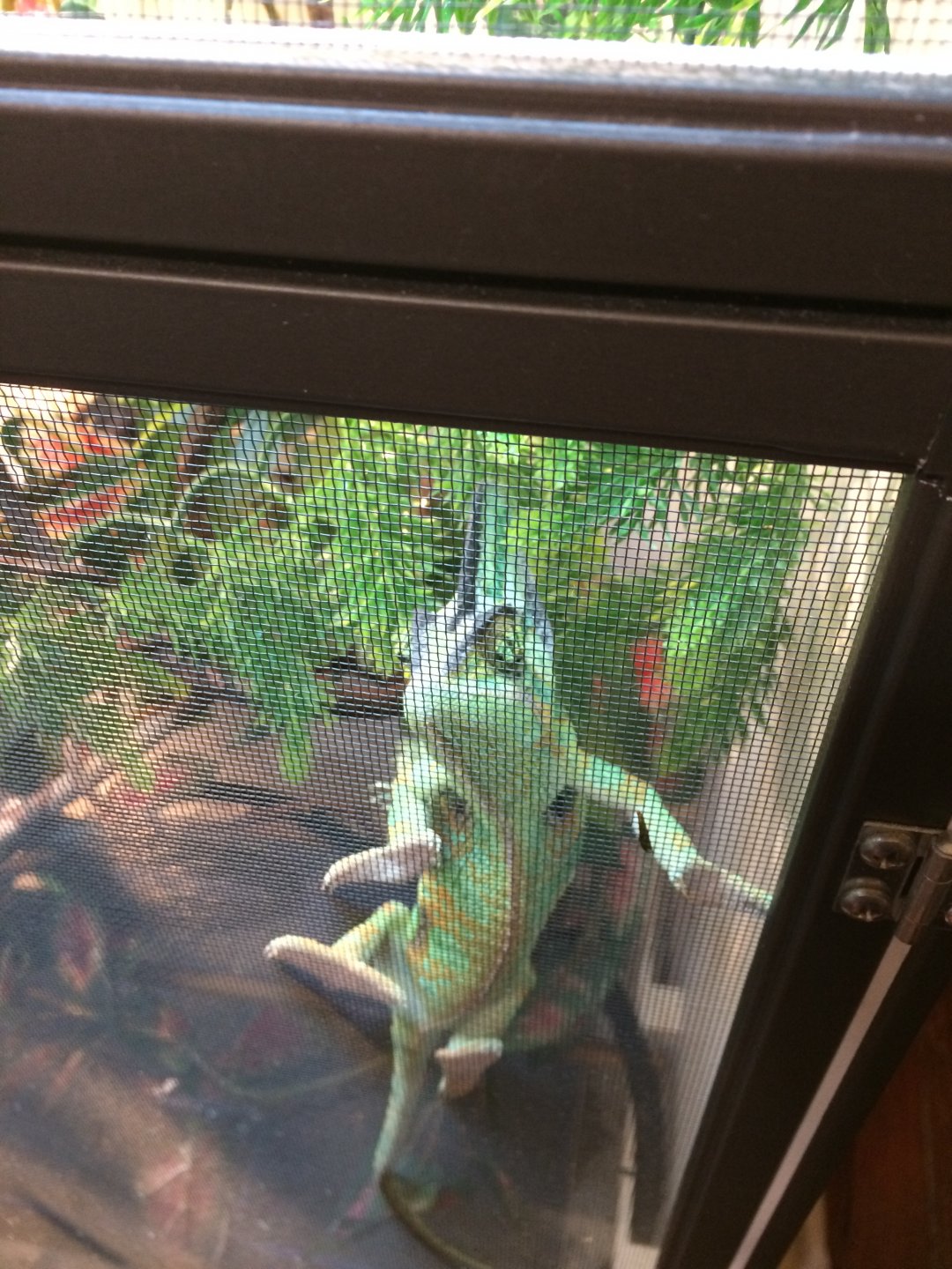 let me outta here!