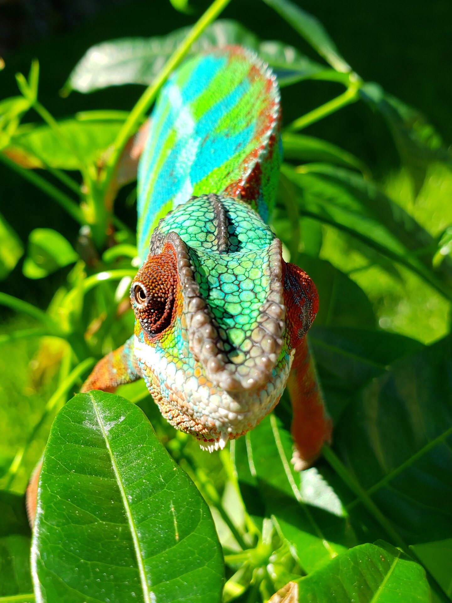 Lets try this again!