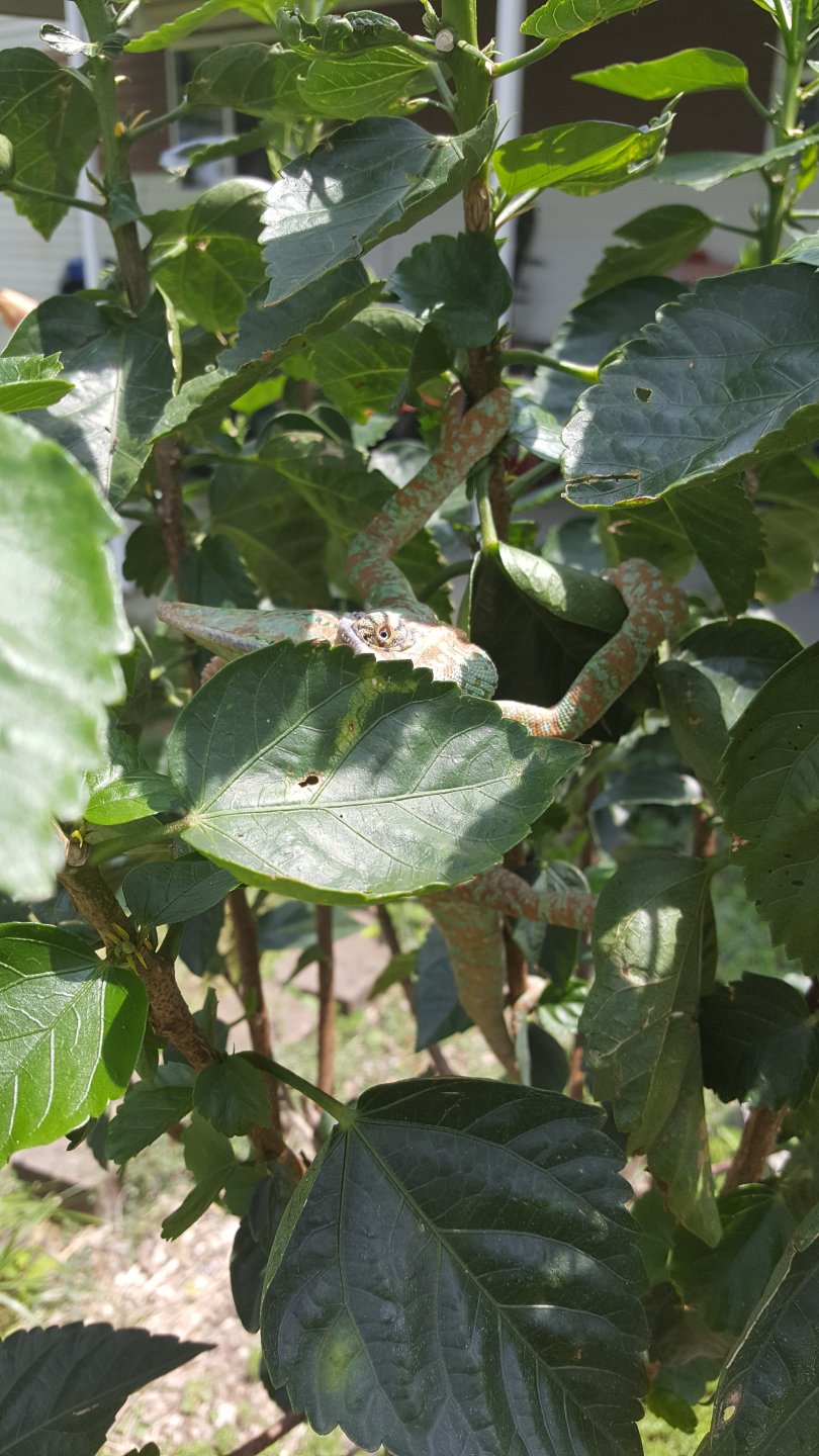 letting his personality show