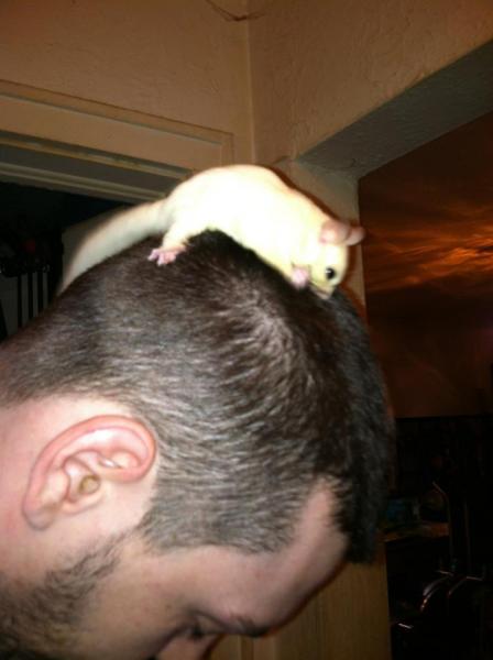 leu in my hair3