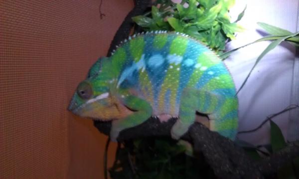 Levi 9/27/2011