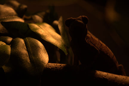 Lighting was weird but I liked the way it turned out.