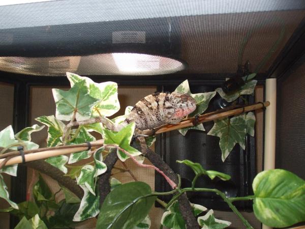 Lilly 7/27/2011