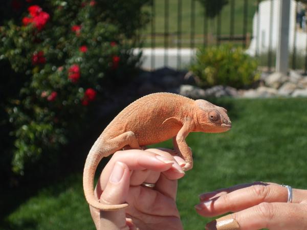 Lilly - September 2, 2011