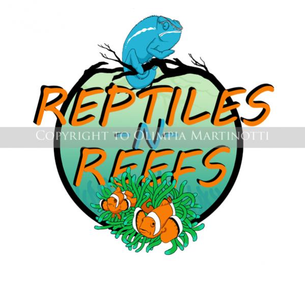 Logo for Reptiles N Reefs in Las Vegas, Nevada.