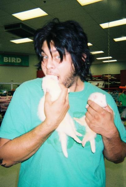 Lola and Gordy. i held them on a WA visit and couldnt put them back. i smuggled them into CA. sold them when we had the baby tho... i miss my socks!