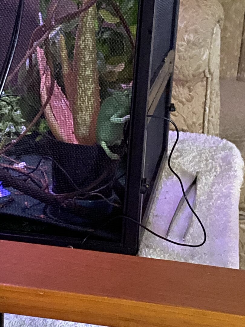 Look at melly sleeping in her plant 🪴 haha so cute 🥰