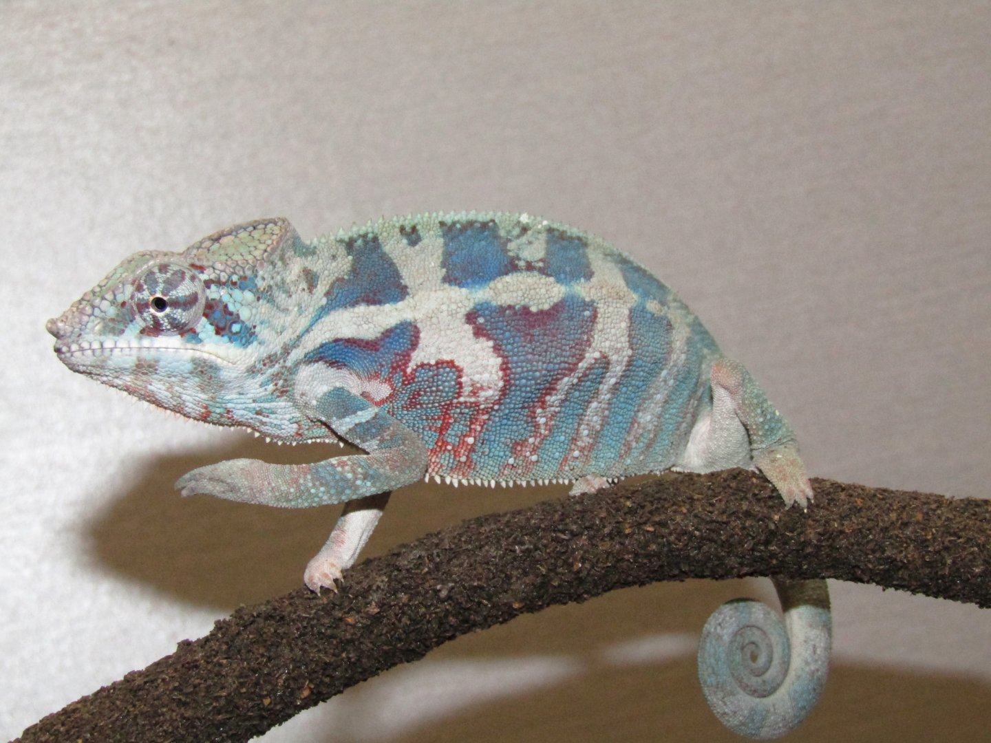 Look at the color transition from the purple/blues to the teal/green left to right