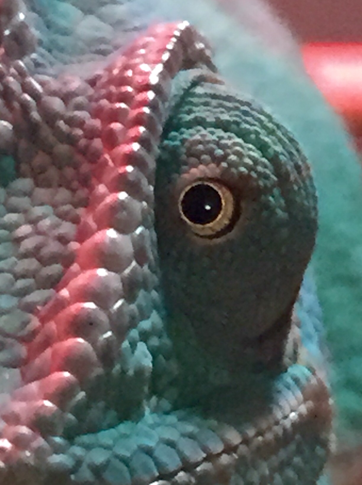 Look Deep Into My Eye