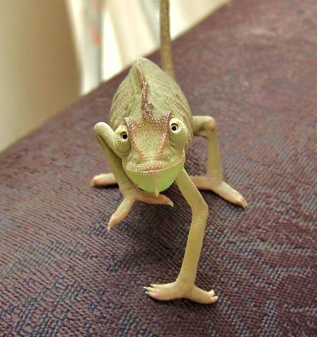 Look Into My Eyes....