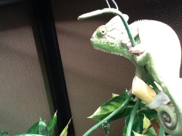 Looking at me like "WTF?"