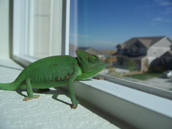 Looking out the window...