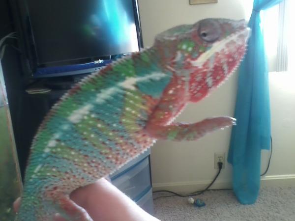 LOVE his colors!