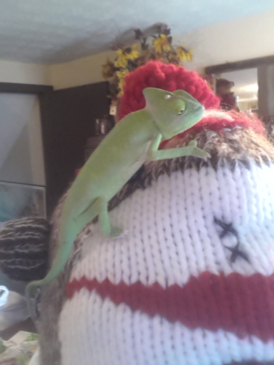 Love this hat